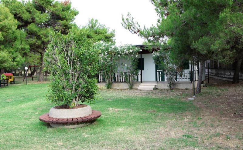 Vela Club